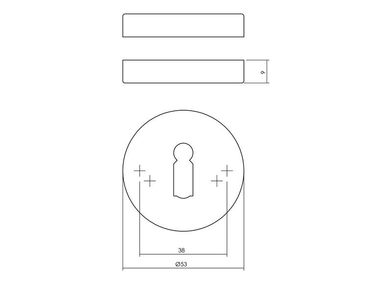 Intersteel Sleutelrozetten verdekt 53x9mm PVD messing getrommeld