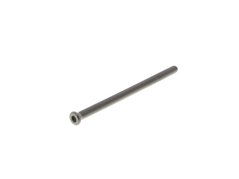 Metaalschroef met binnen zeskant m6 x 100
