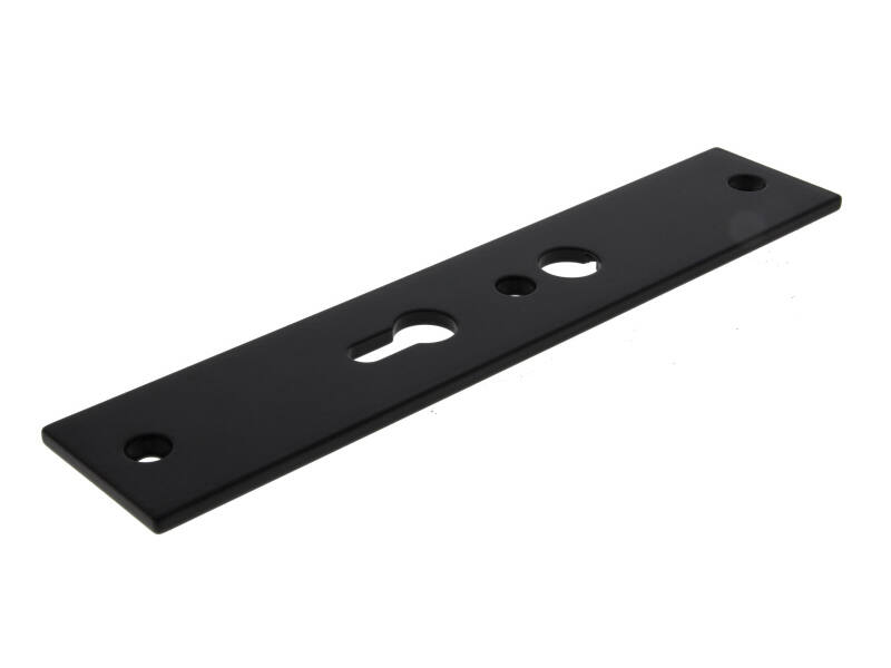 Veiligheidsschild binnen Zwart Bauhaus PC55