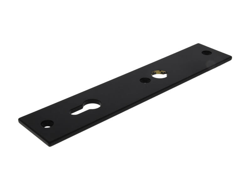 Veiligheidsschild binnen Zwart Bauhaus PC92