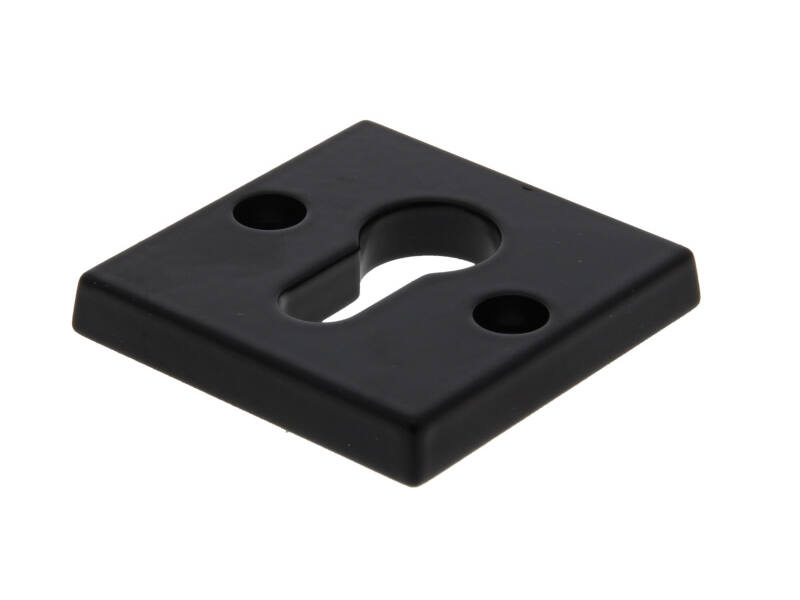 Veiligheidsrozet "binnenzijde" Zwart Bauhaus 55mm SKG 3