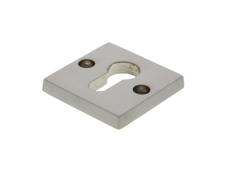 Veiligheidsrozet "binnenzijde" Mat nikkel Bauhaus 55mm SKG 3