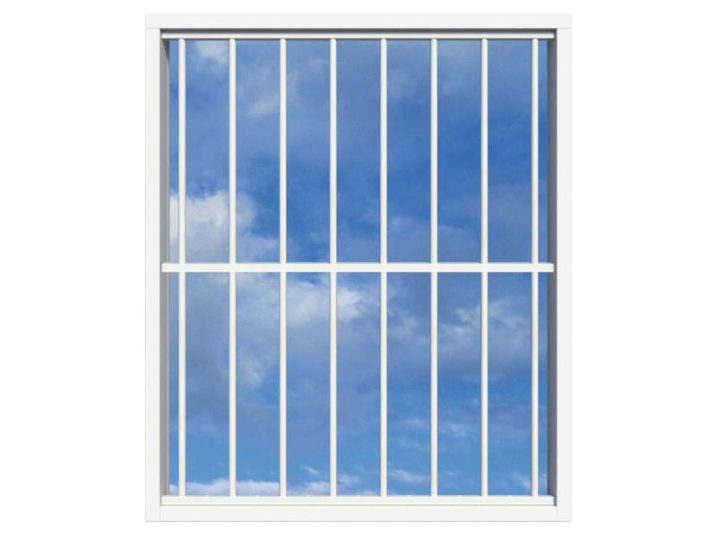SecuBar Lichtkoepelbeveiliging Fix & Go - 8 spijls 1500x2000 mm