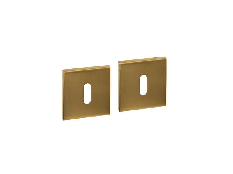 Sleutelrozetten verdekt 53x53x6mm PVD messing mat