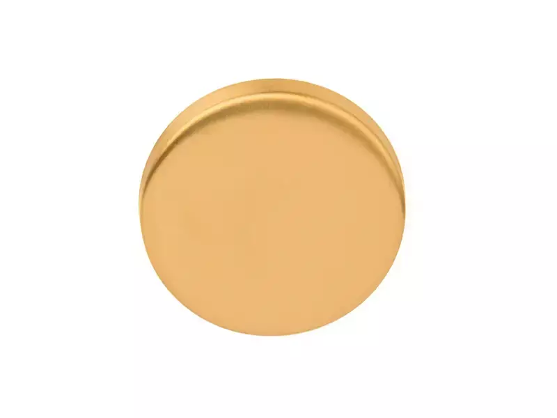 Blindrozet mat Goud PVD rond 52 mm – Formani Basics LBB50