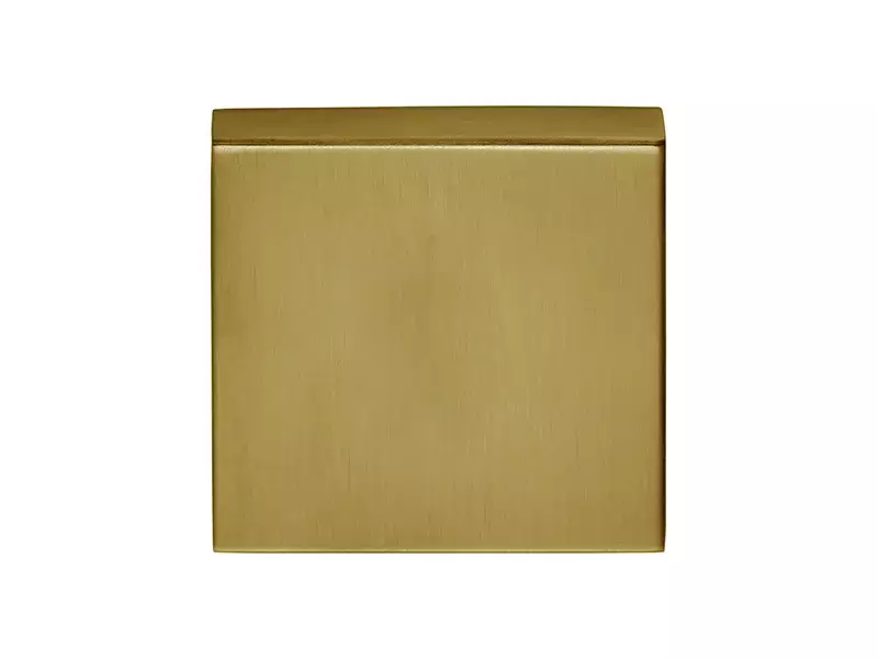 Blindrozet mat Goud PVD vierkant 53 mm – Formani Basics BSQB53