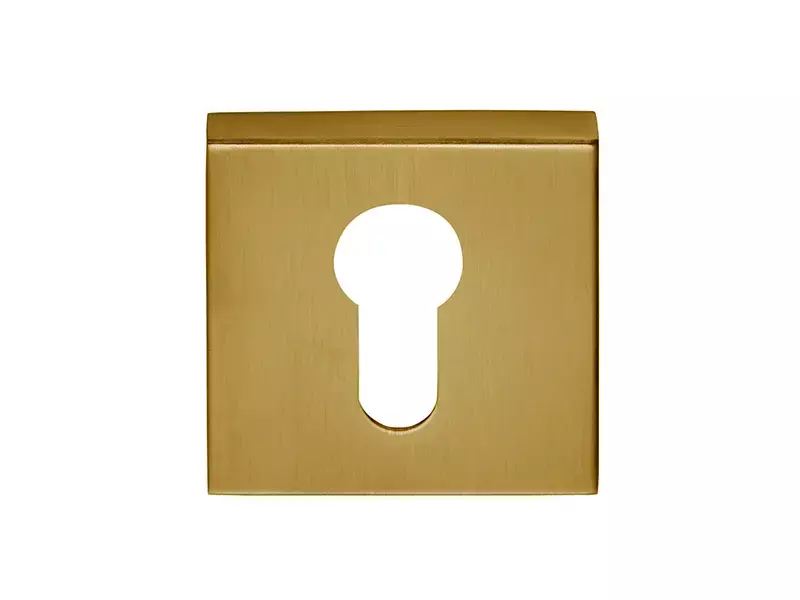 Profielcilinderrozet Mat Goud PVD vierkant 53 mm – Formani Basics BSQY53
