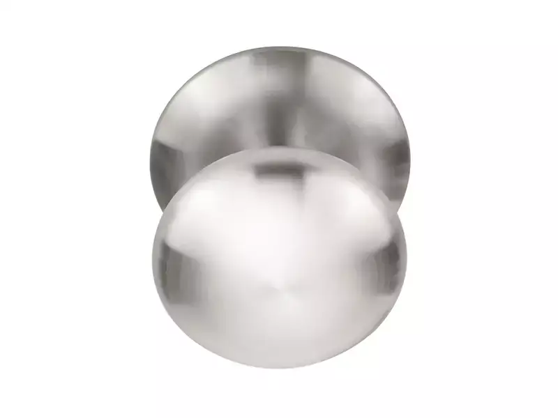 Voordeurknop RVS PVD Rond 80 mm Vast op Rozet – LB80V