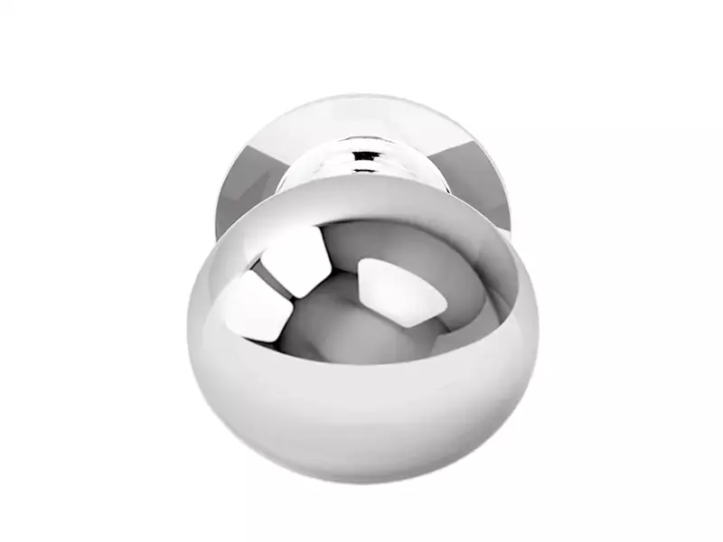Voordeurknop gepolijst RVS Rond 65 mm Vast op Rozet – LB65V