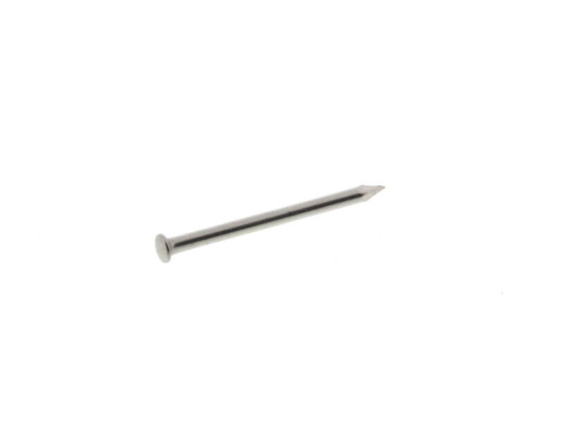 Nagels Rvs Bombe kop 1.6 x 20 mm