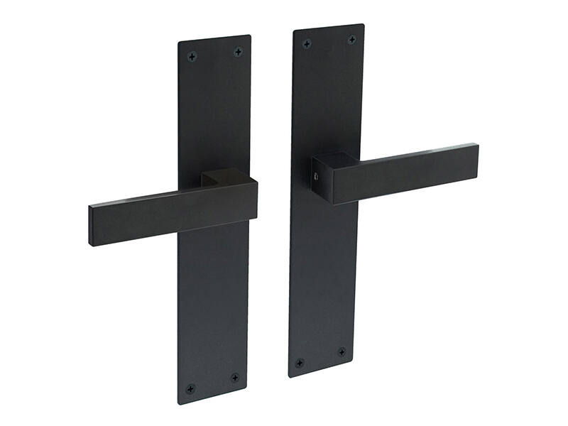 Intersteel Deurkruk Zwart Amsterdam op schild 250x55x2mm Blind