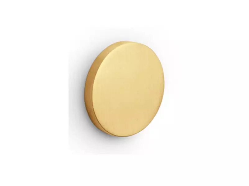 Blindrozet Mat goud PVD Intro rond 52mm, 6mm dik