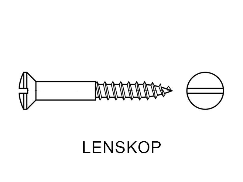 Houtschroef gleuf met lenskop Nikkel 4.5 x 50mm