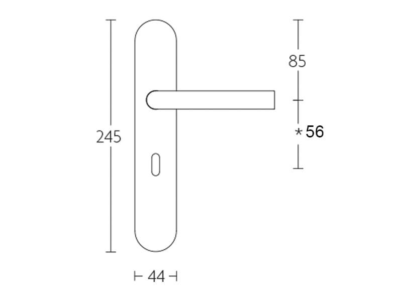 Deurkruk RVS Basics LB2-19P13 geveerd op schild SL56