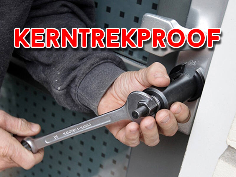 Veiligheidsbeslag SKG 3-sterren met kerntrekbeveiliging Zwart PC72 Bauhaus met vierkante knop