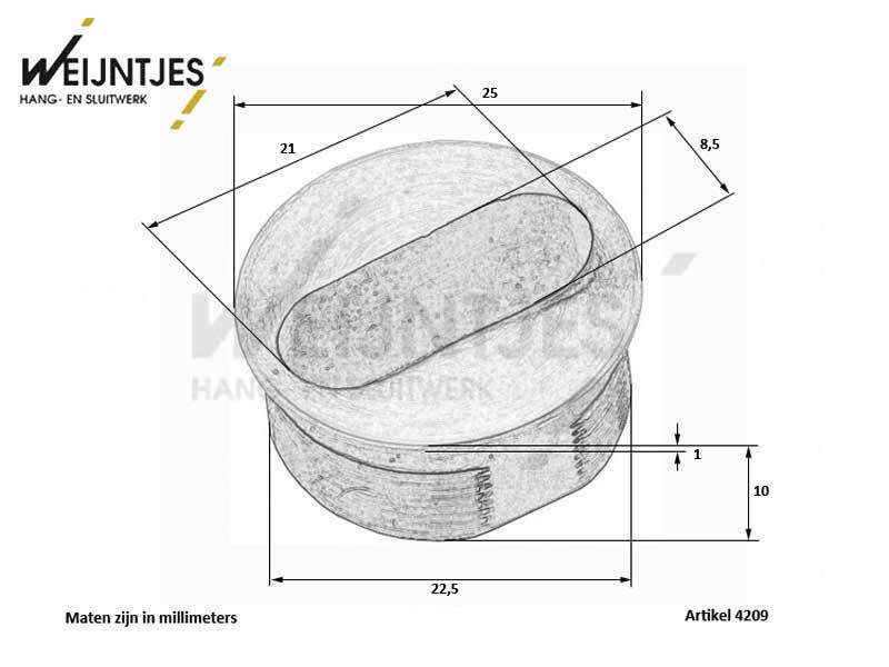 Sleutelrozet Rvs Inboor rond 25 mm