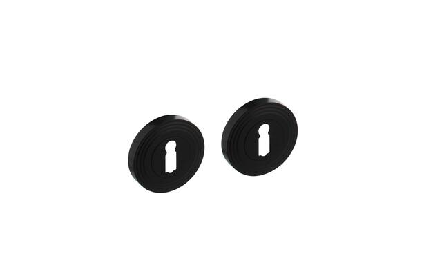 Intersteel Sleutelrozetten verdekt rond 54x9 mm met nokken zwart