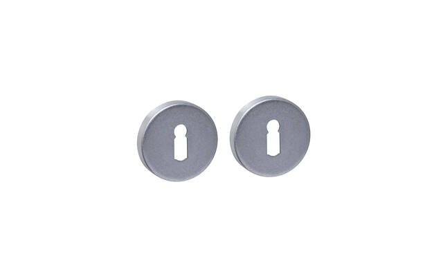 Intersteel Sleutelrozetten verdekt 53x9mm rvs getrommeld