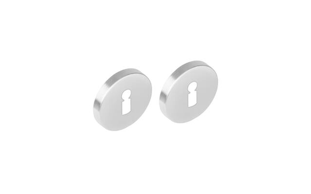 Sleutelrozetten verdekt rond 53x8mm met nokken RVS