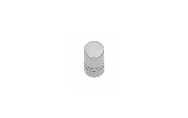 Intersteel Meubelknop rond 13 mm rvs geborsteld