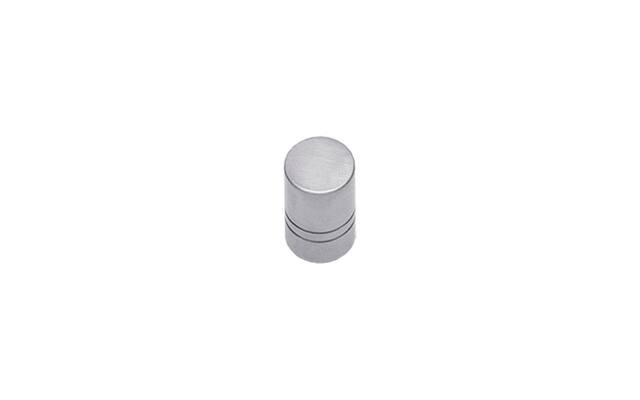 Intersteel Meubelknop rond 18 mm rvs geborsteld