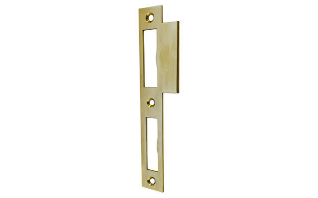Sluitplaat Messing gepolijst Dag- en nacht en wc-badkamersloten 170x24mm Din links