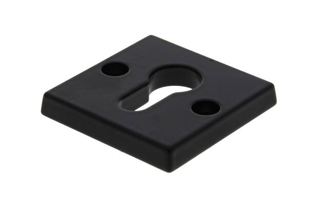 Veiligheidsrozet "binnenzijde" Zwart Bauhaus 55mm SKG 3