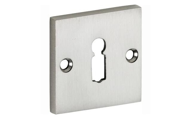 Sleutelrozet Mat nikkel Bauhaus vierkant 50x5mm opschroevend