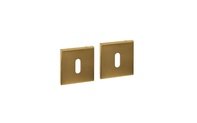 Sleutelrozetten verdekt 53x53x6mm PVD messing mat