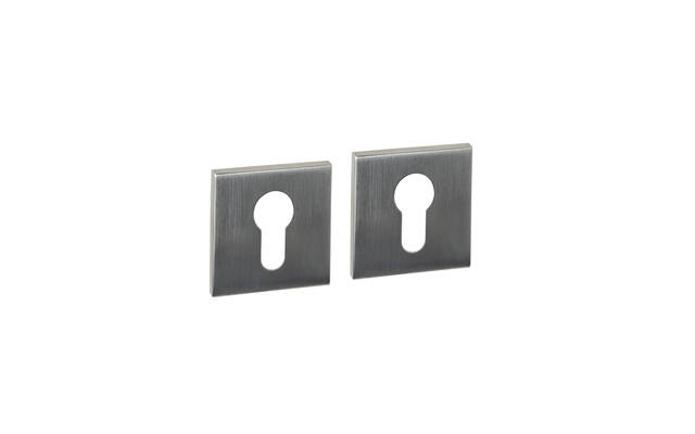 Profielcilinderrozetten verdekt 53x53x6mm RVS