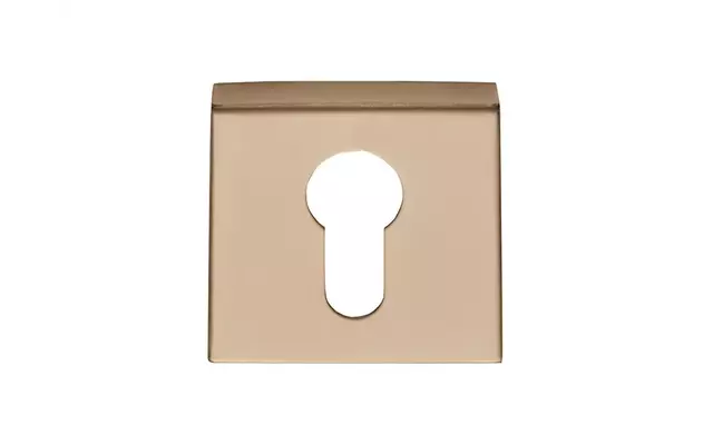 Formani Basics Profielcilinderrozet BSQY53