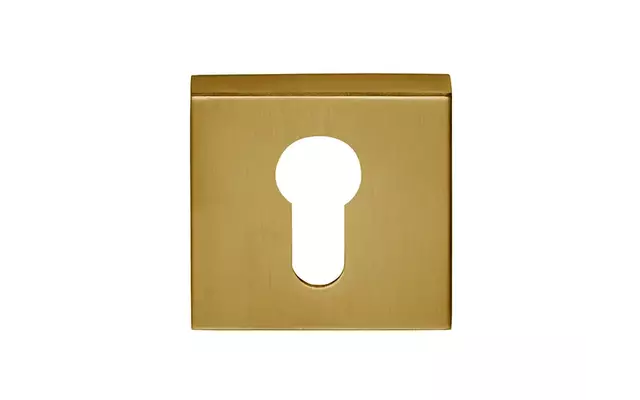 Profielcilinderrozet Mat Goud PVD vierkant 53 mm – Formani Basics BSQY53