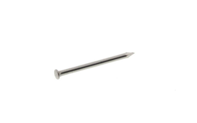 Nagels Rvs Bombe kop 1.6 x 20 mm