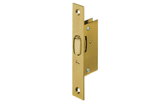 Tonrolslot smalslot Messing Lips 2072 voorplaat 25x150mm LS/RS