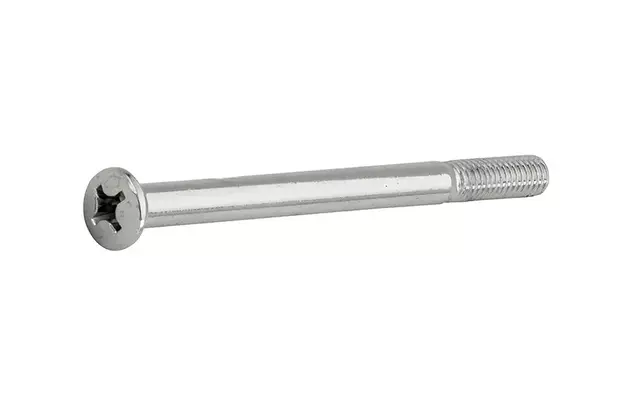 Metaalschroef Nikkel Lenskop M6x120mm