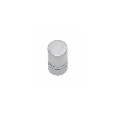 Intersteel Meubelknop rond 13 mm rvs geborsteld