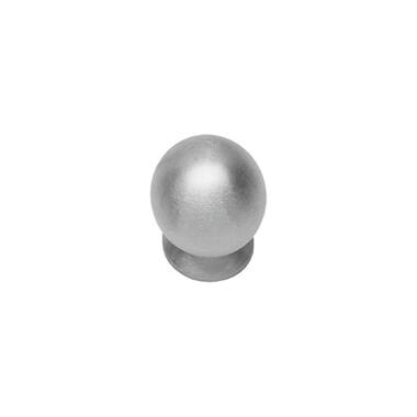 Intersteel Meubelknop 25 mm bolrond achterplaat RVS