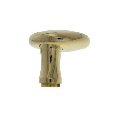 Knop voor veiligheidsschild Messing Paddestoel verkropt 60mm