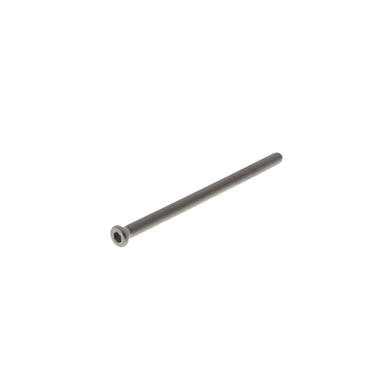 Metaalschroef met binnen zeskant m6 x 100
