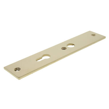 Veiligheidsschild binnen Messing Bauhaus PC72