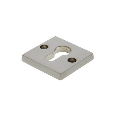 Veiligheidsrozet "binnenzijde" Mat nikkel Bauhaus 55mm SKG 3