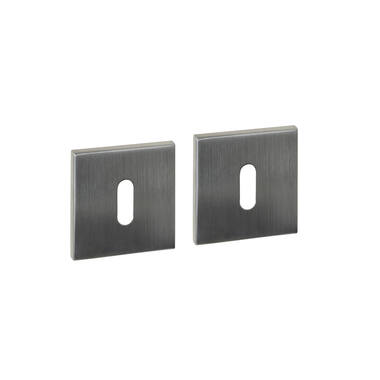 Sleutelrozetten verdekt 53x53x6mm RVS