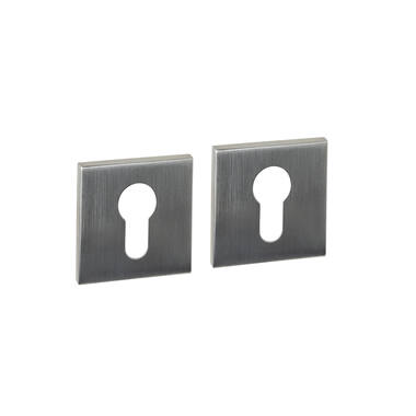 Profielcilinderrozetten verdekt 53x53x6mm RVS