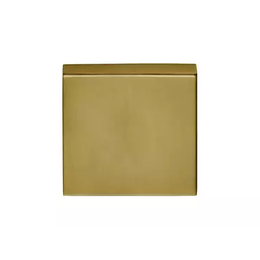 Blindrozet mat Goud PVD vierkant 53 mm – Formani Basics BSQB53