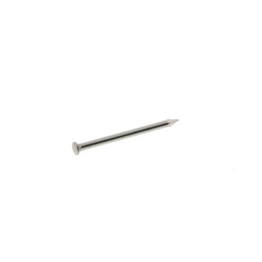 Nagels Rvs Bombe kop 1.6 x 20 mm